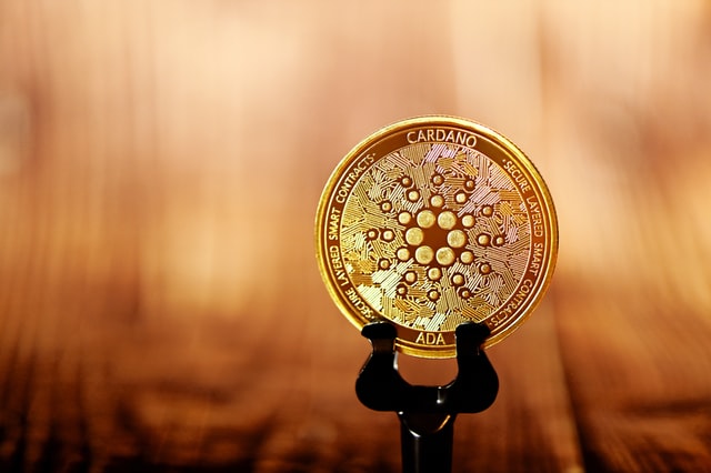 executium pCWOez SE アンスプラッシュ