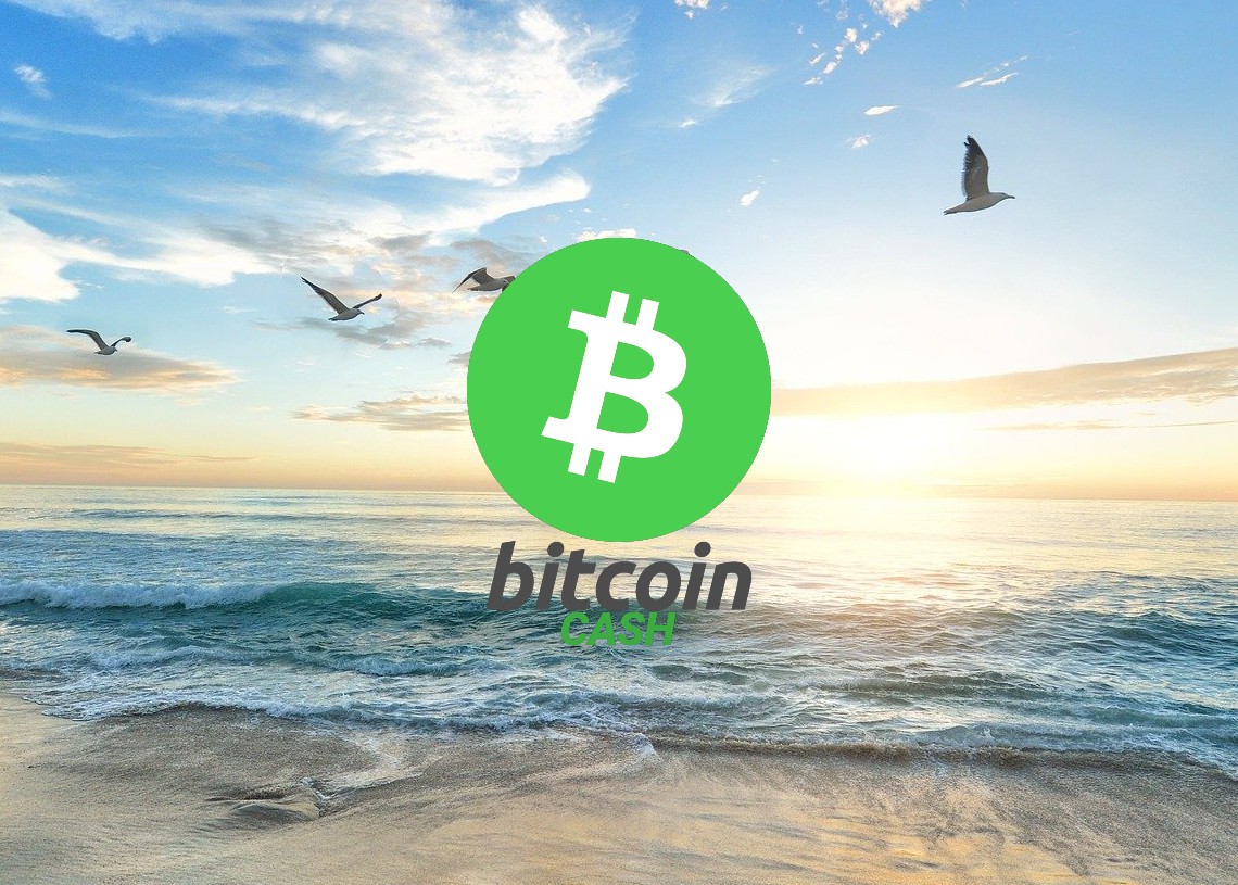 Bitcoin cash price analysis BCH under bearish shadow at after brief victory