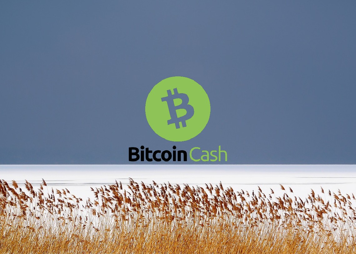 Bitcoin cash price analysis Bearish current follows as the price downgrades further to
