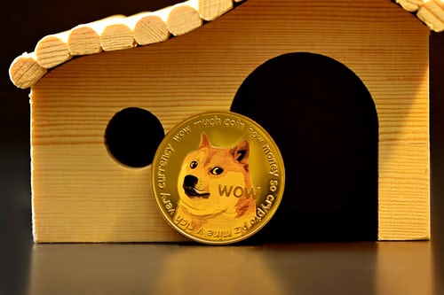Dogecoin 가격 분석