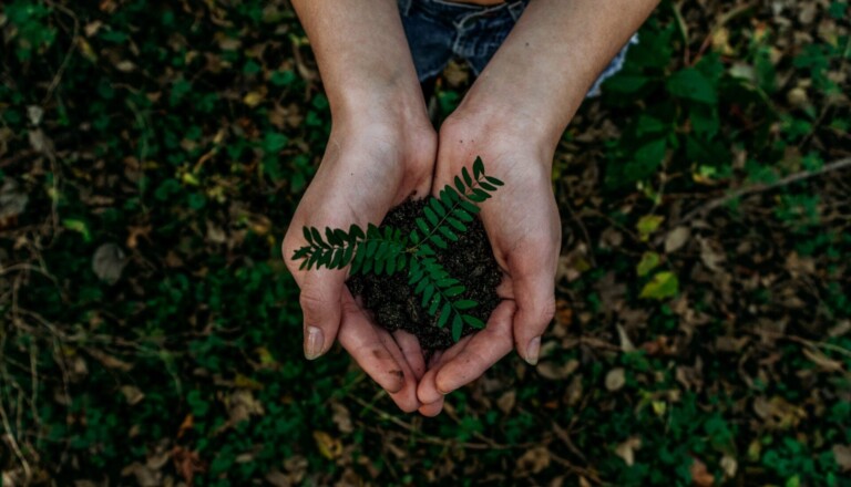 noah buscher x ZStukS PM unsplash