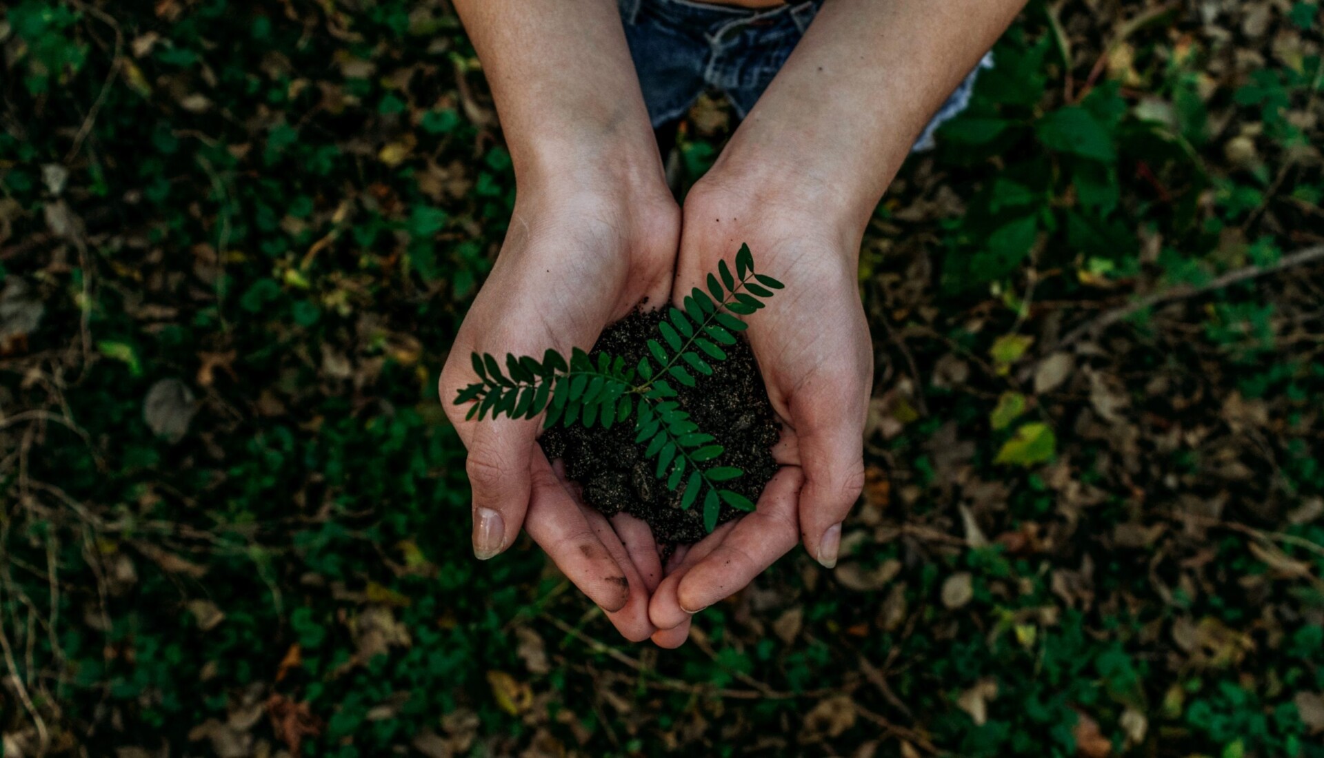 Noah Buscher x ZStukS PM unsplash