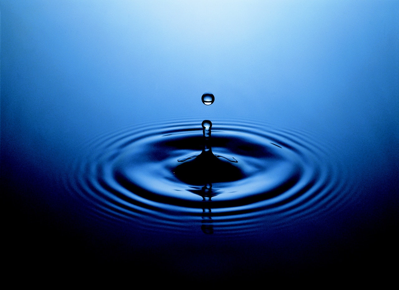 Ripple 가격 예측