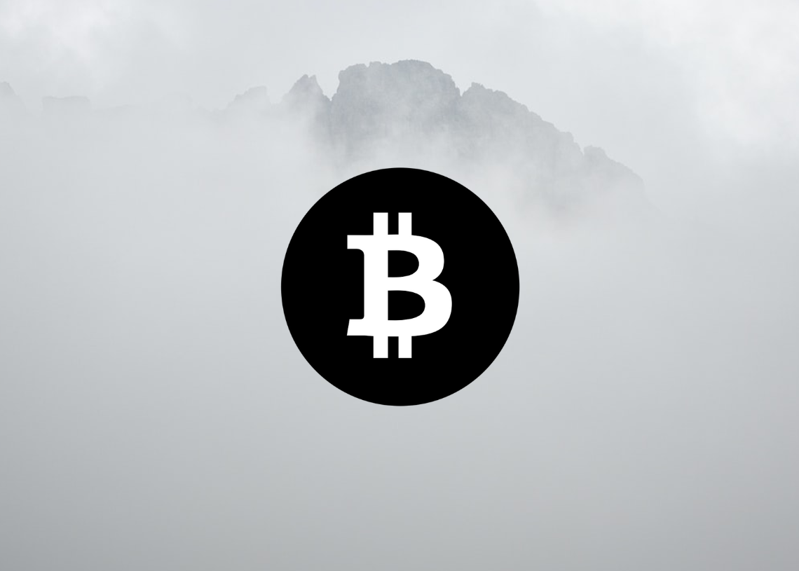 Bitcoin 가격 분석