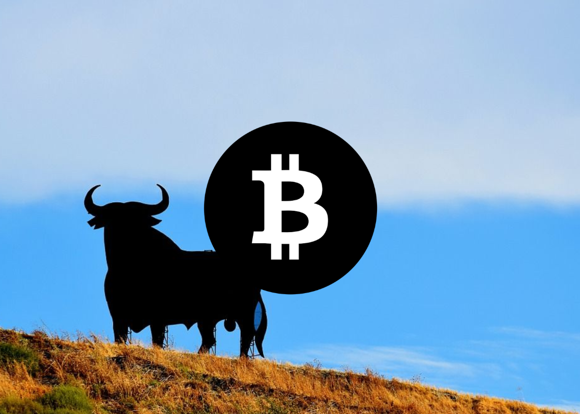 Bitcoin 가격 분석