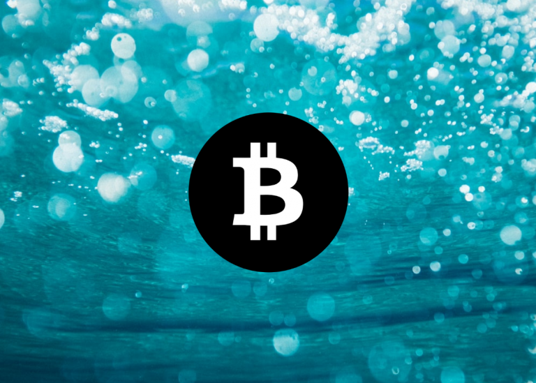 Bitcoin 가격 분석