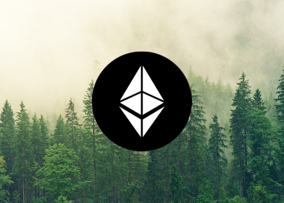 Ethereum 가격 분석