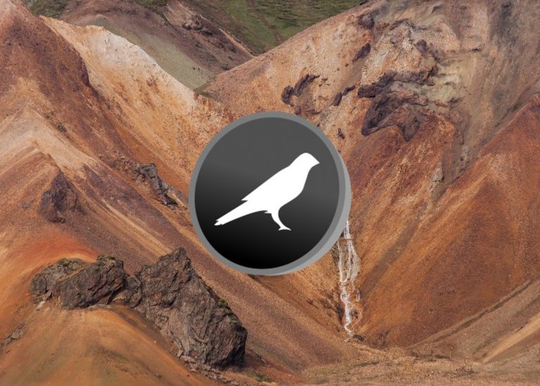 Kusama-Kursanalyse: Aufwärtsdynamik rettet Kurs auf Niveau