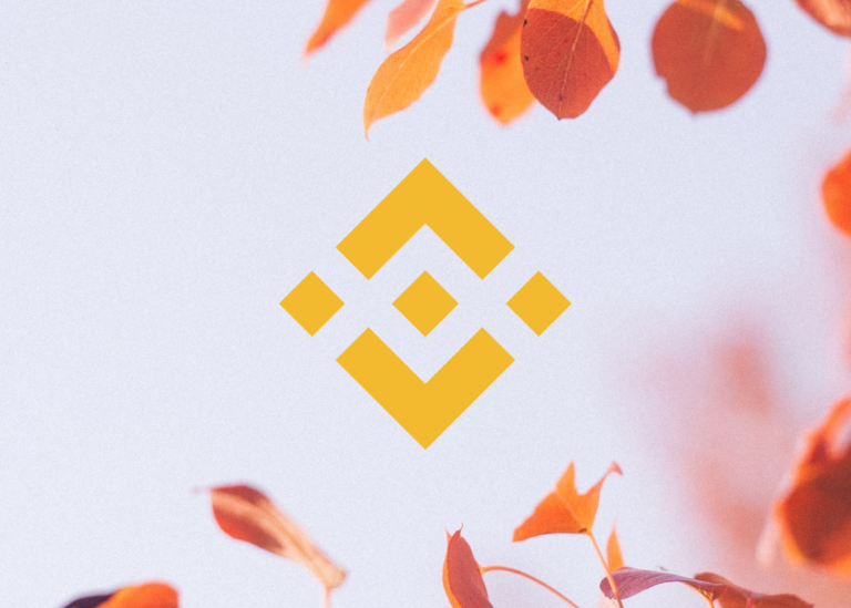 Binance 코인 가격 분석