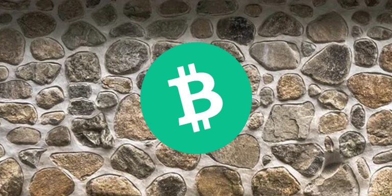 Bitcoin Cash (BCH) 가격 분석: 추가 하락 가능성 제기, 저항에 직면