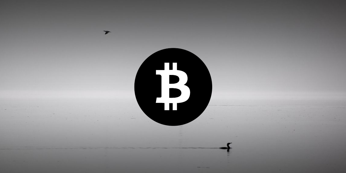 Bitcoin 가격 분석
