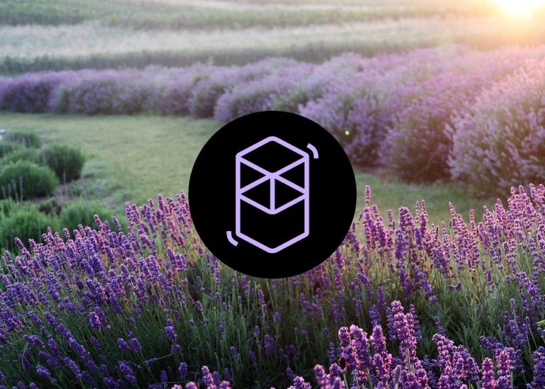 팬텀 가격 분석: 최근의 차질로 인해 가격이 인하되었습니다