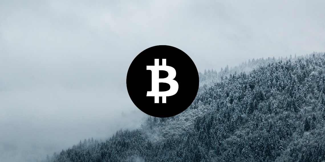 Bitcoin 가격 분석