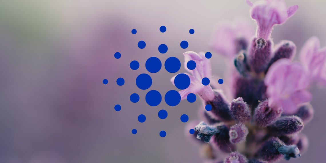 Cardano -Preisanalyse