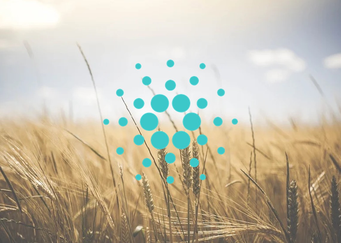 Анализ цены Cardano : ADA пробивает сопротивление семидневного уровня, нацелено на следующий уровень