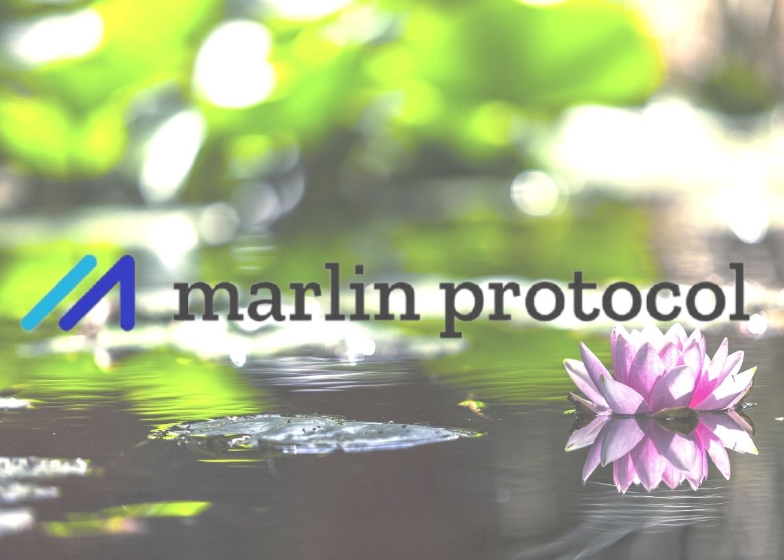 analyse du prix du Marlin