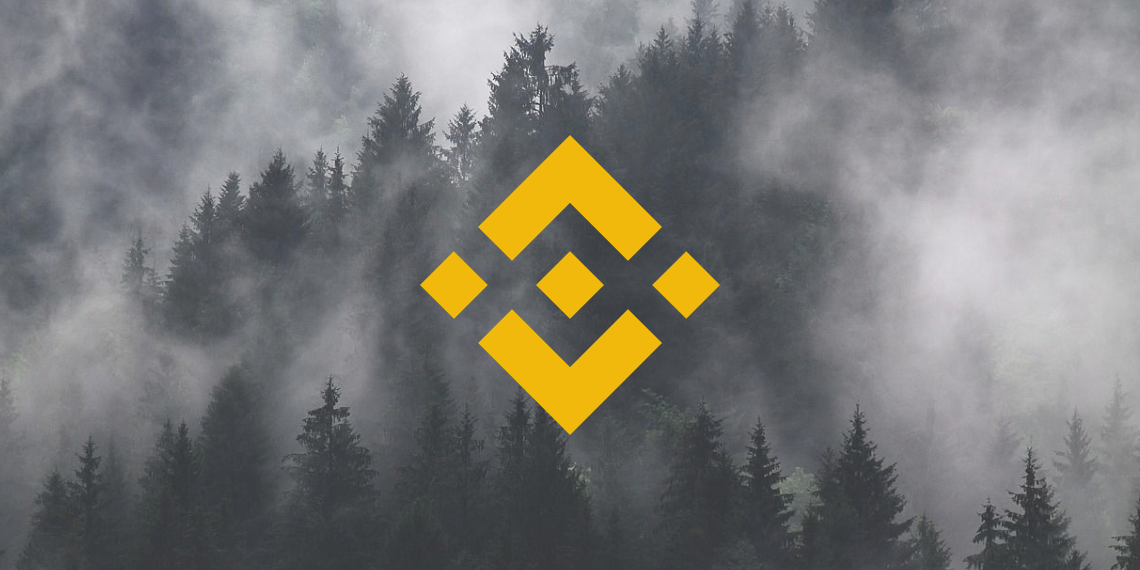 Binance 코인 가격 분석