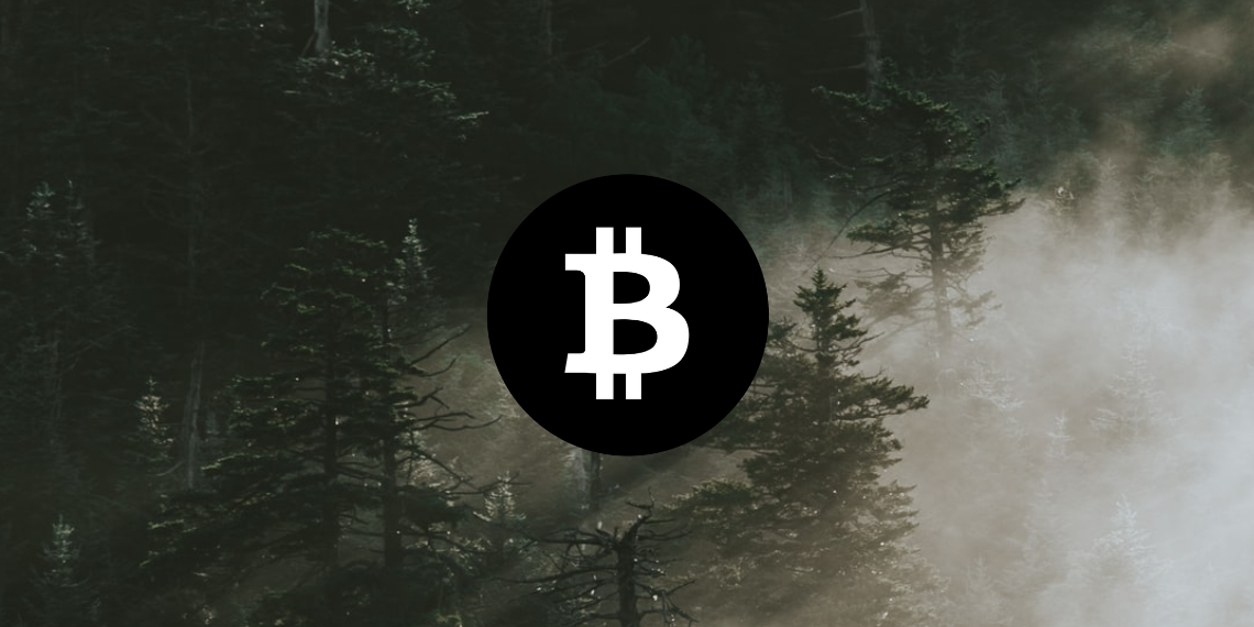 Bitcoin Price analysis