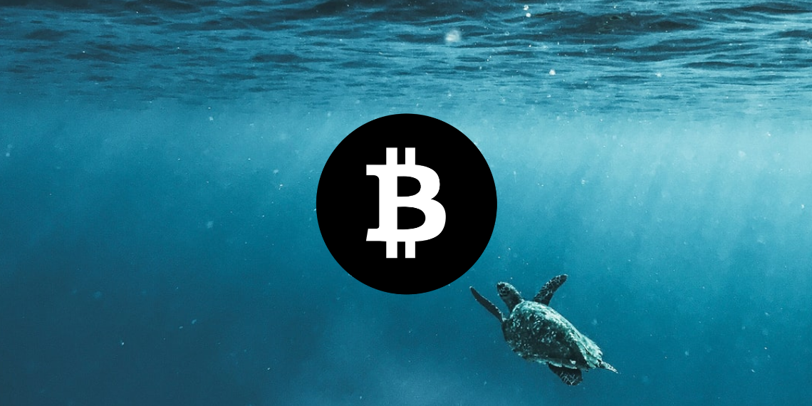 Bitcoin 가격 분석