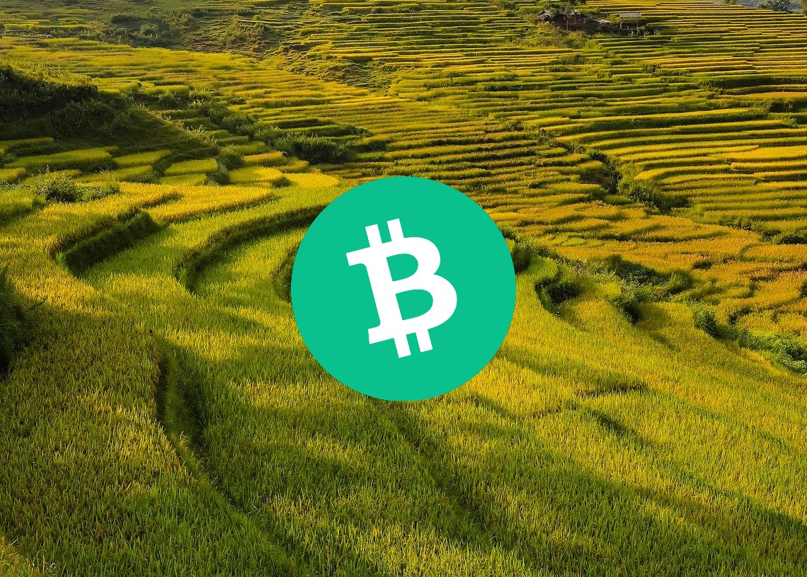 Analyse du prix Bitcoin cash (BCH) : le prix se stabilise après une légère reprise