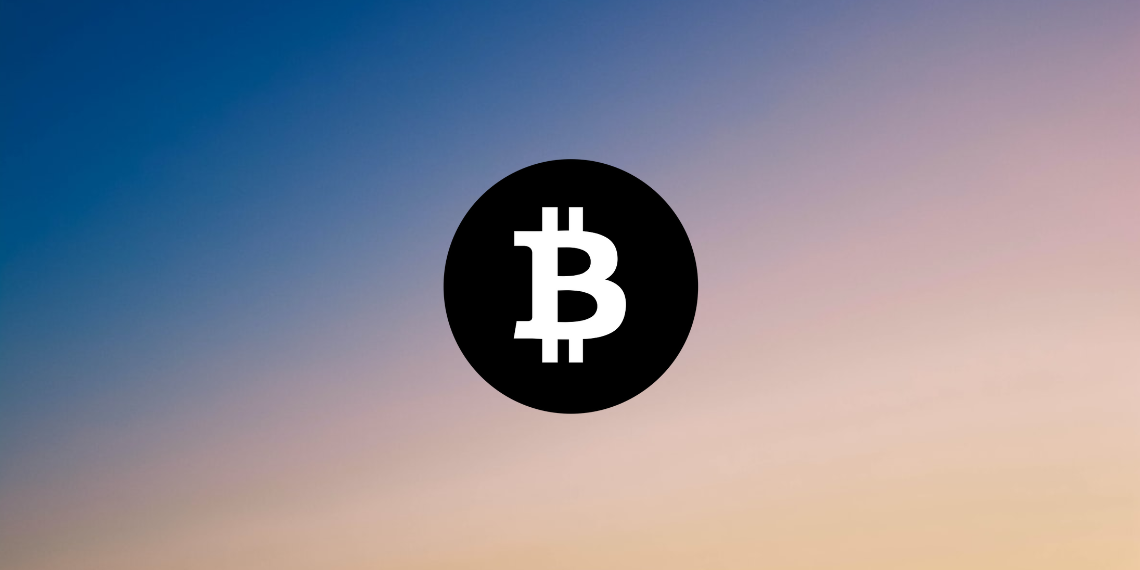 Bitcoin 가격 분석