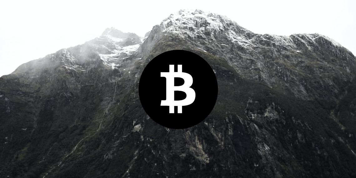 Bitcoin 가격 분석