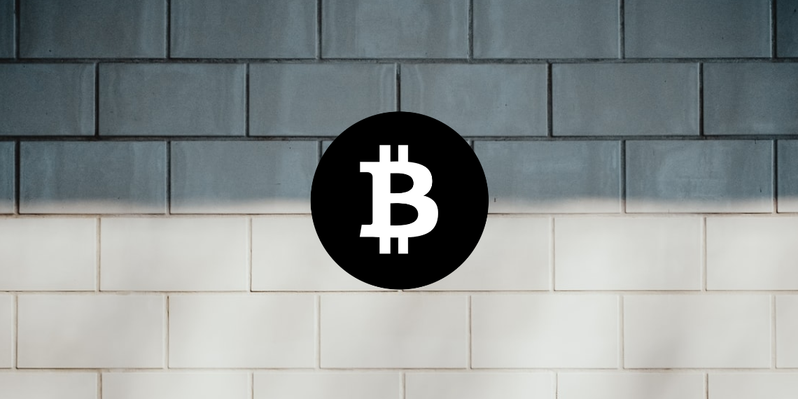 Bitcoin 가격 분석