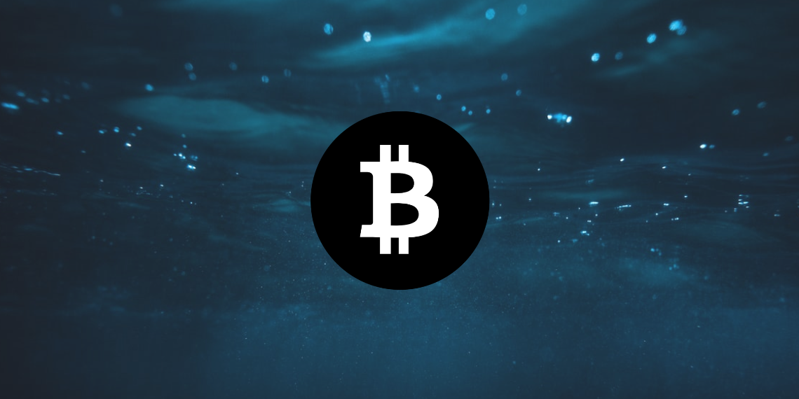 Bitcoin 가격 분석