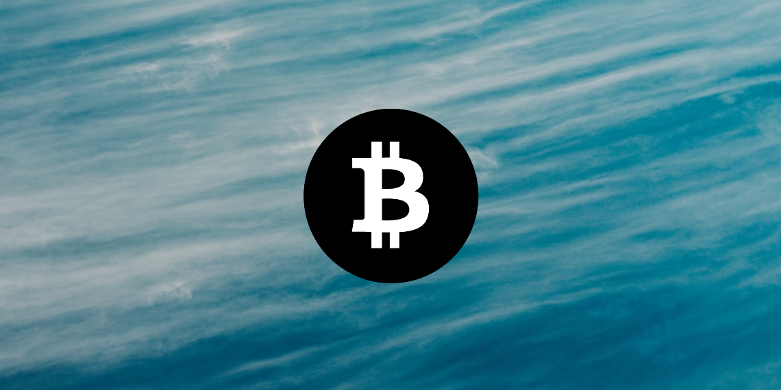 Bitcoin 가격 분석