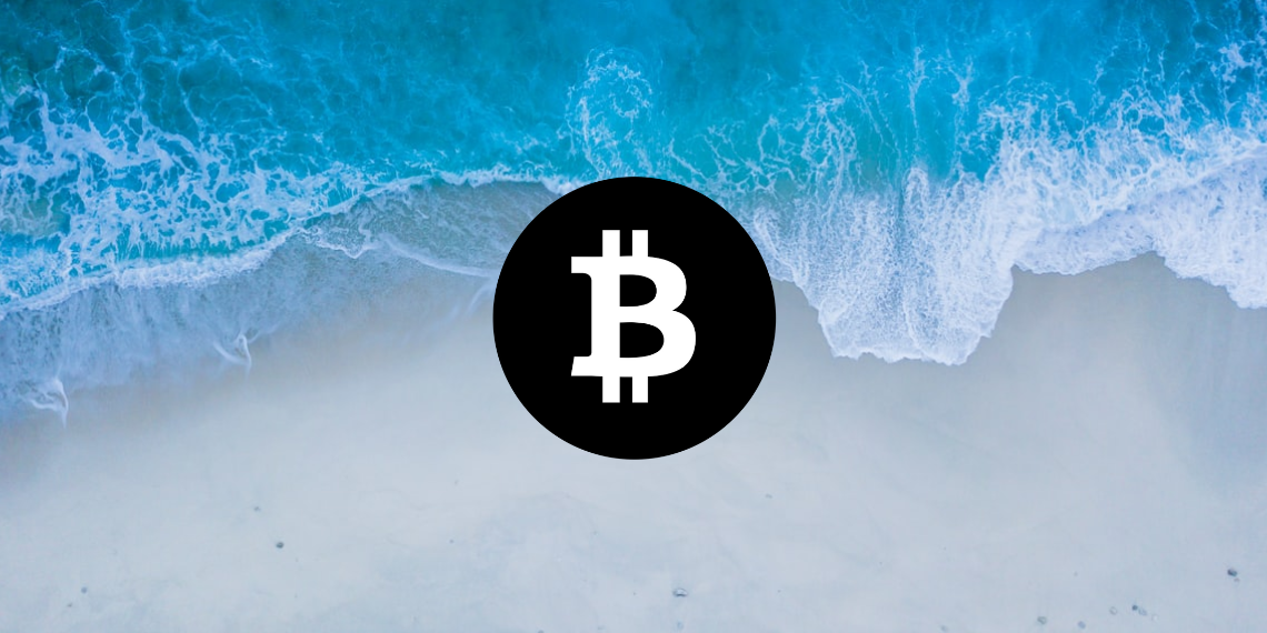Bitcoin 가격 분석