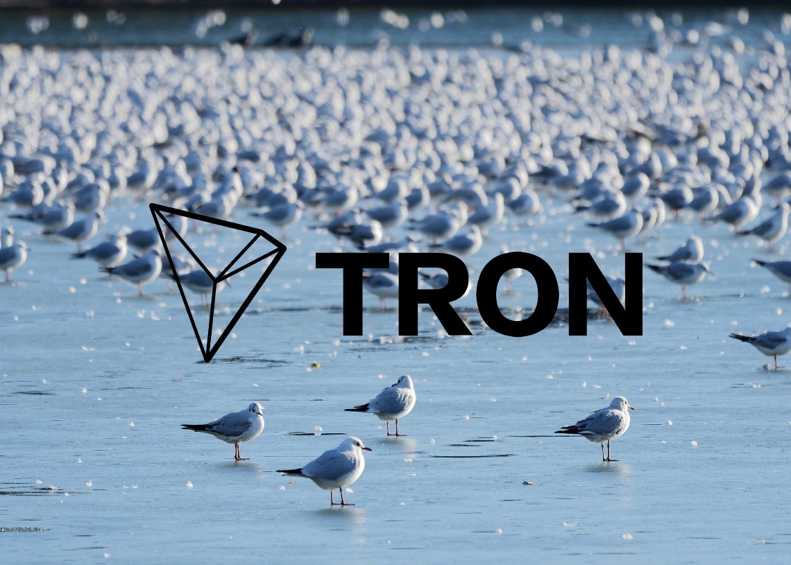 Tron price analysis Bullish momentum retrieves price back to high