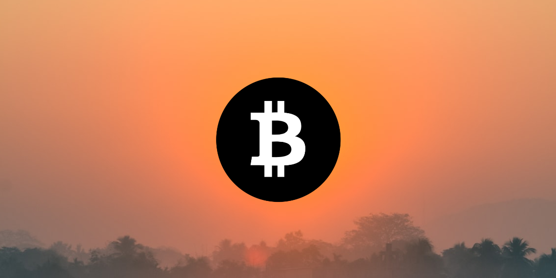 Bitcoin 가격 분석
