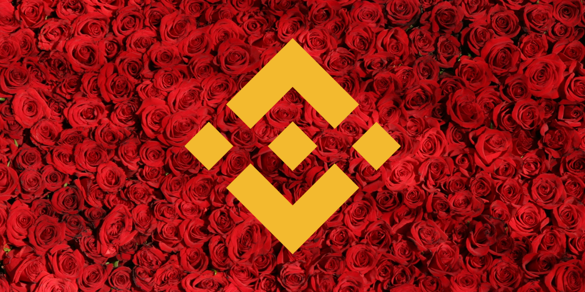 Binance Coin Preisanalyse