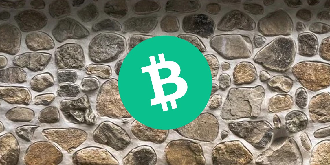 Bitcoin Cash (BCH) 가격 분석: 추가 하락 가능성 제기, 저항에 직면