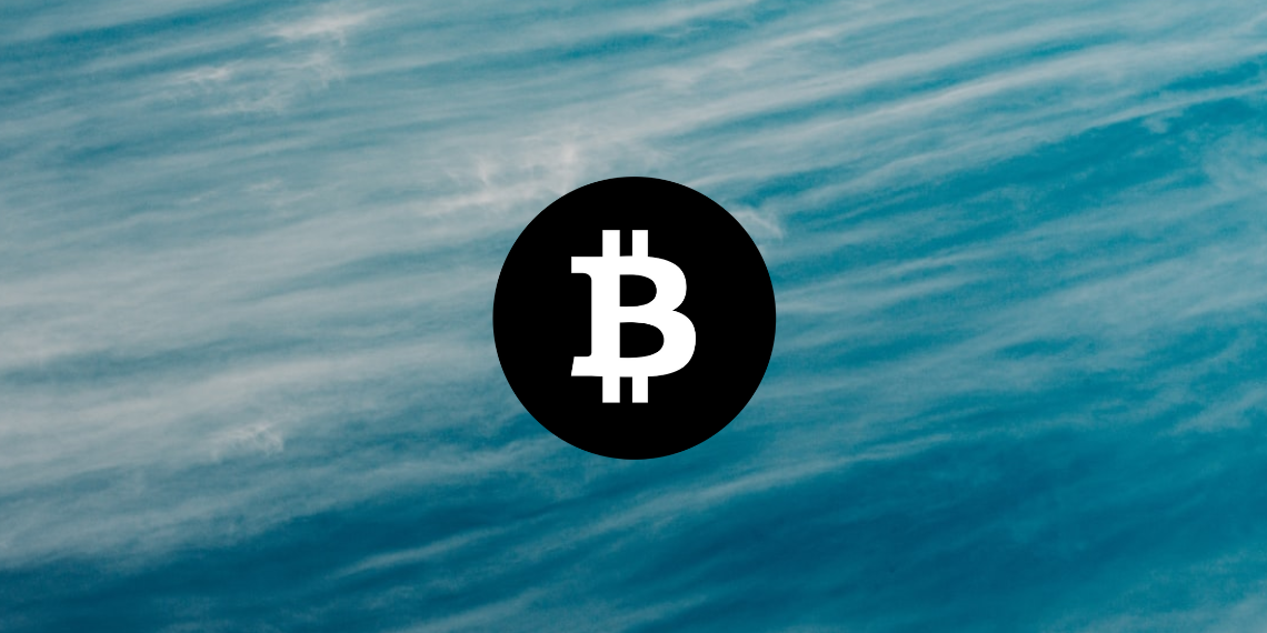 Bitcoin 가격 분석