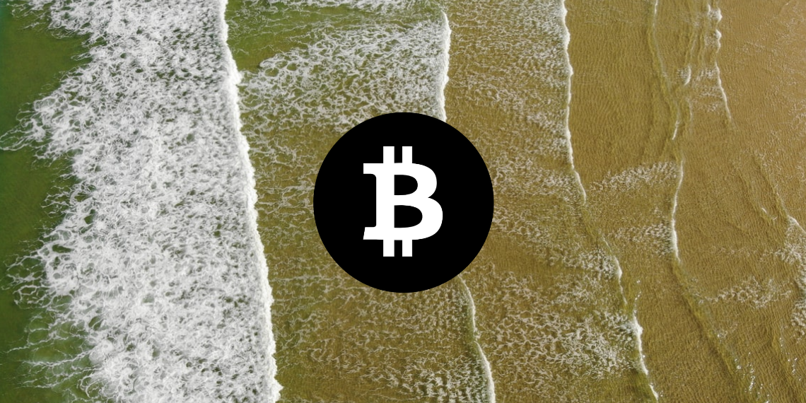 Bitcoin 가격 분석