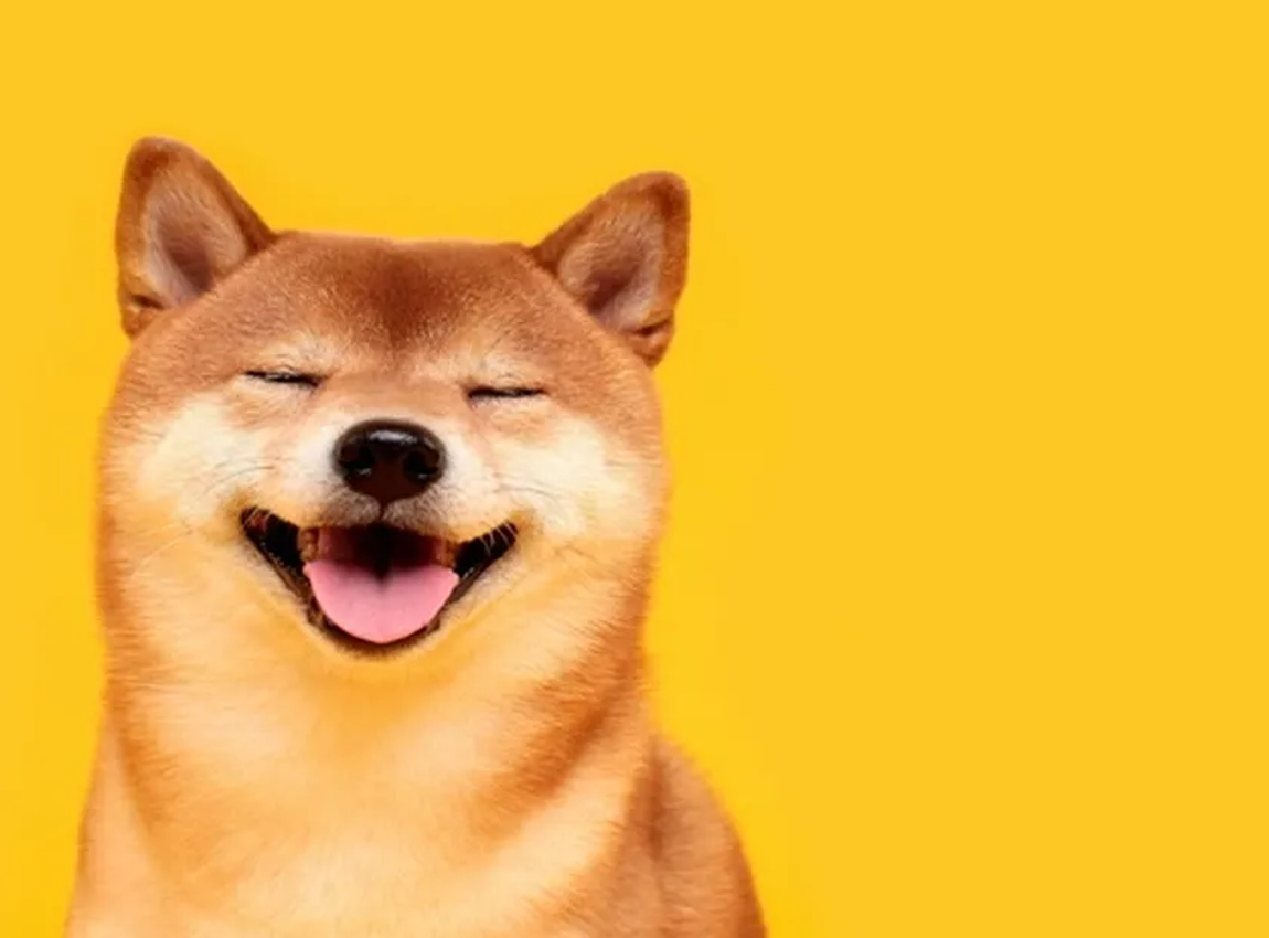 SHIB