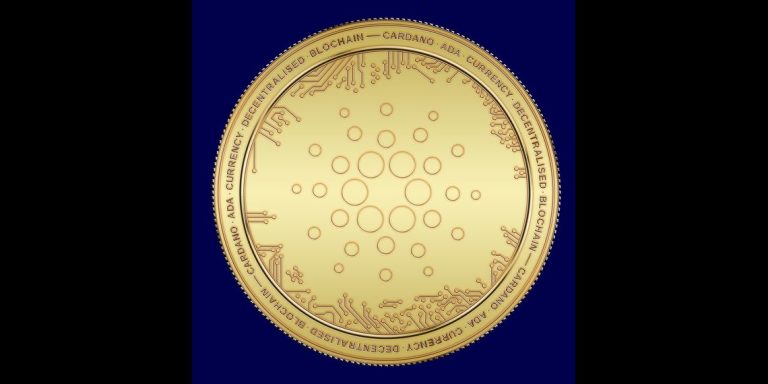 美国残疾人法案