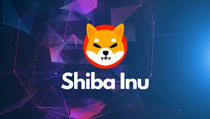 Shiba Inu 揭开元宇宙的面纱