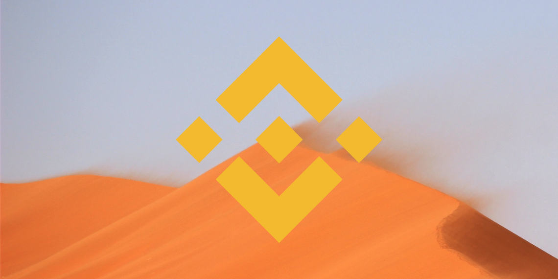 Binance 코인 가격 분석