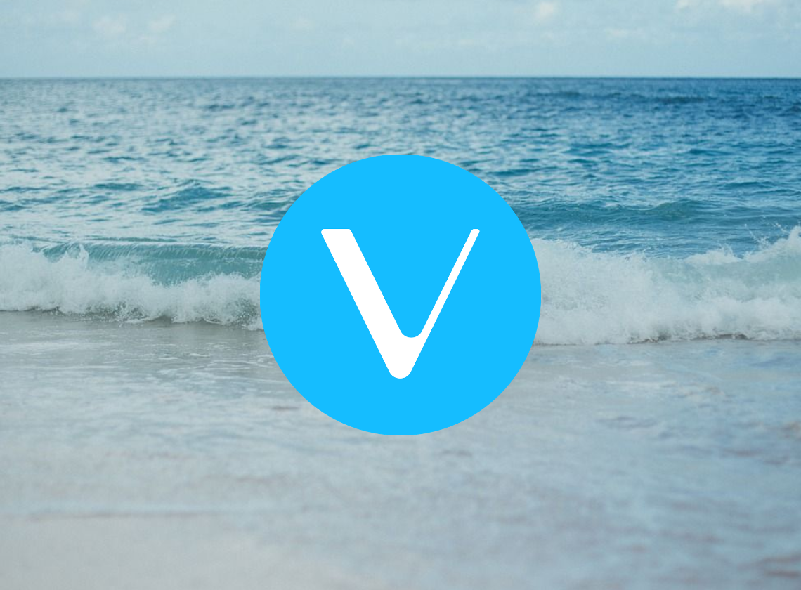 VeChain 분석