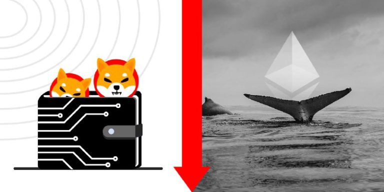 Ethereum whales' stint with SHIB not so impressive; balances below $1B
