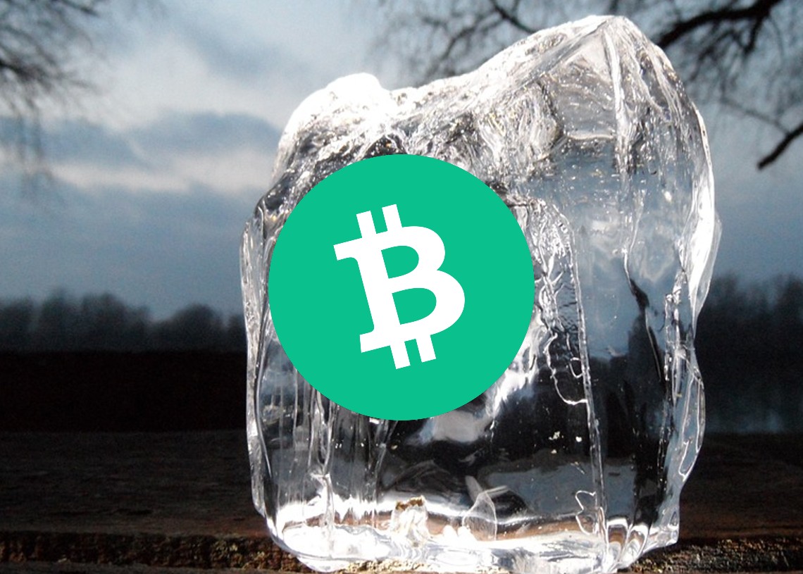 Bitcoin Cash 가격