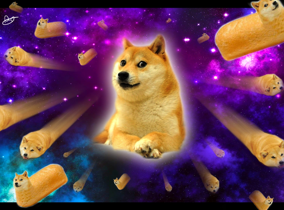 DOGE