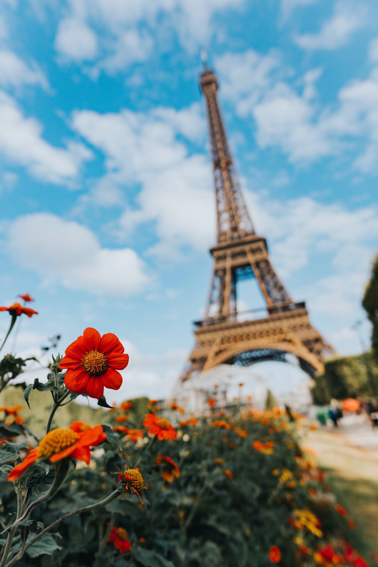 덱스 에스겔 EobQaSfI EY unsplash