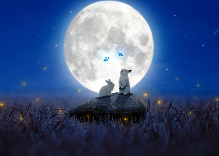 prezzo del coniglio lunare