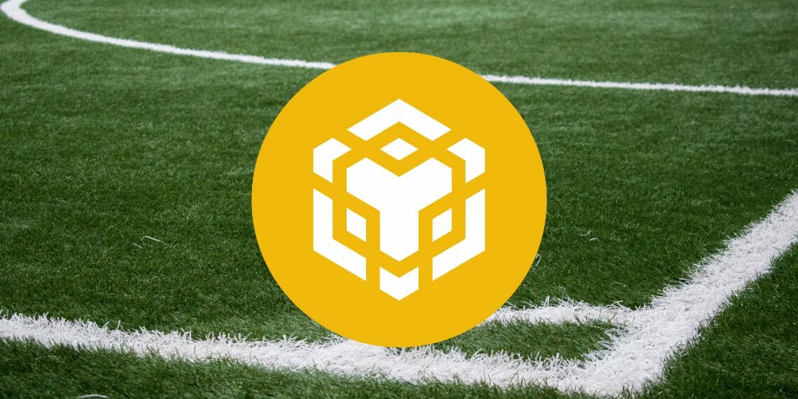 Binance 코인 가격 분석