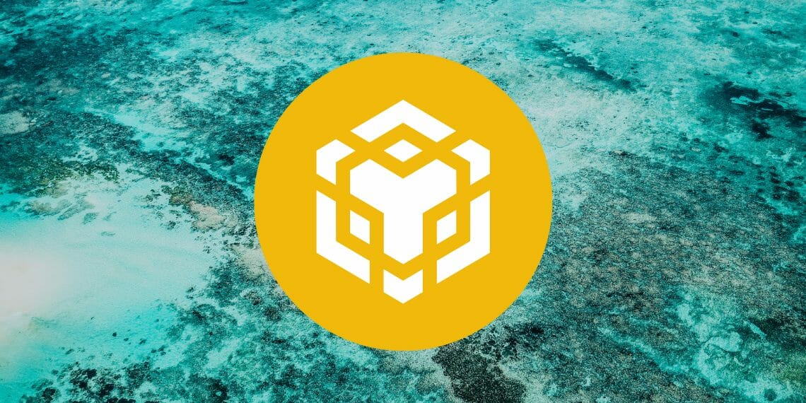Binance 코인 가격 분석