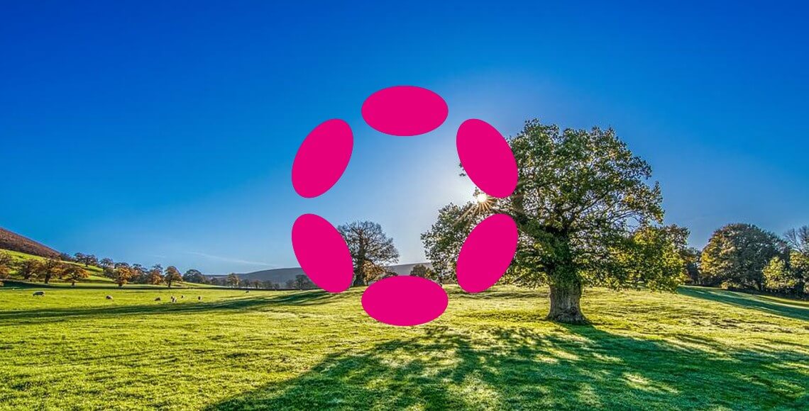 Polkadot price analysis: DOT gains 3.53 percent as price reaches $8