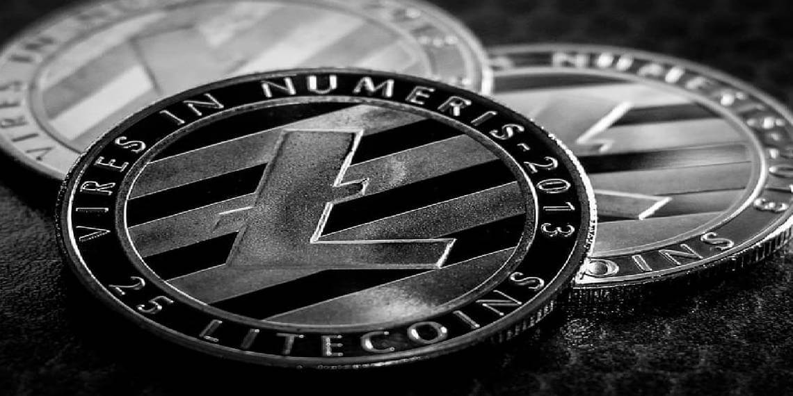 Litecoin 가격 분석